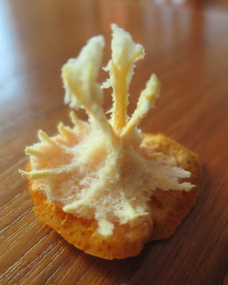 Mandarin orange pith and columella arranged upright on wooden table resembling a small tree sculpture