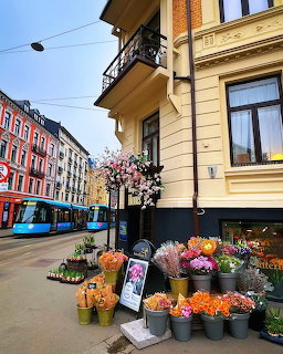 Flower vendor stand on Oslo street with colorful blooms, historic buildings, and blue tram