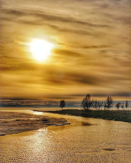 Golden sunset over an icy shoreline with bare trees and reflective water