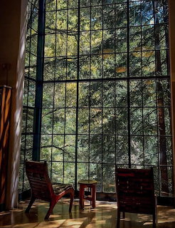 Forest View Glass Window Interior