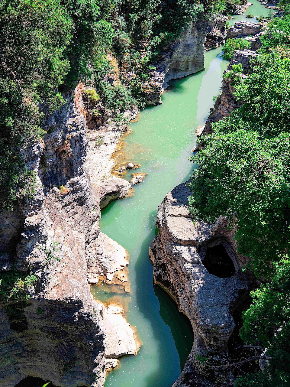 Aerial view of Gola del Furlo gorge with turquoise river winding between rocky limestone cliffs and green trees