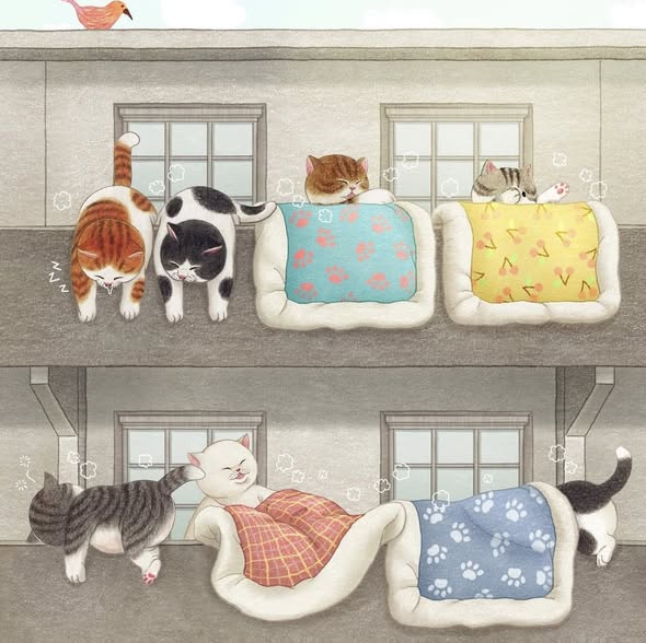 Eight cats lounging in decorative beds on wooden shelves with windows in background