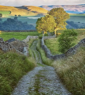 Country lane between stone walls leading toward trees and rolling green hills