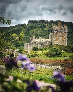 Eilean Donan Castle in Scotland with green forested hills behind and purple flowers in foreground