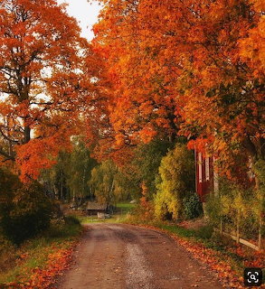 Autumn Country Road