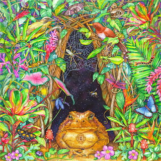 Treasure Box Toad