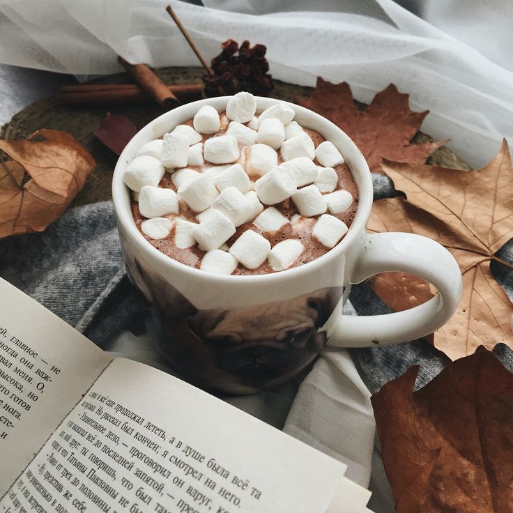 Mug of hot chocolate with marshmallows on plaid blanket surrounded by fall leaves and book