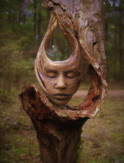 Surreal human face embedded in a twisted tree trunk in a forest