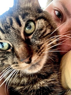 Close-up of a tabby cat with green eyes held next to a person's cheek