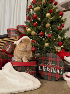 Santa Hat Bunny Christmas Tree