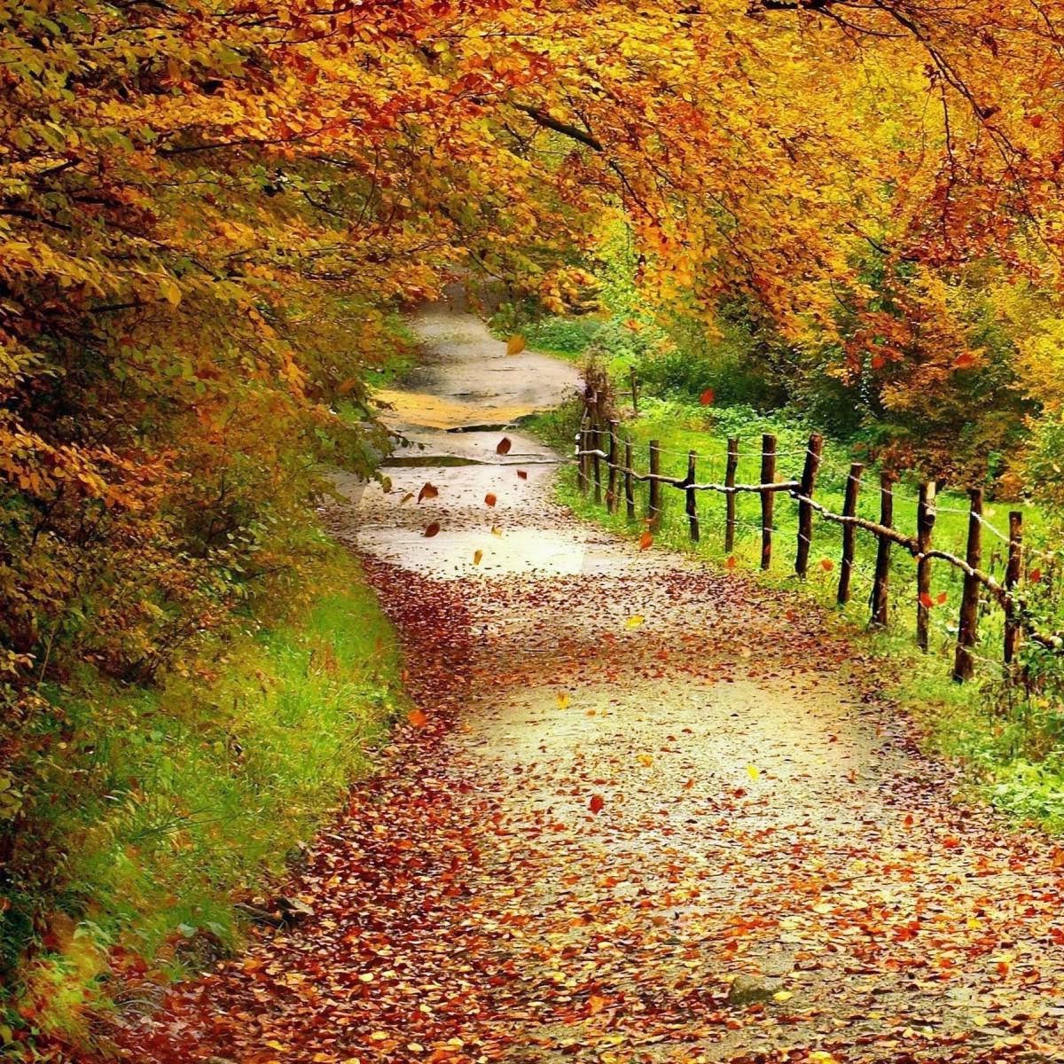 Country Road