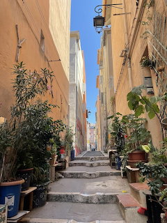 Narrow stepped aleyway between orange and beige buildings with poted plants in Marseille, France