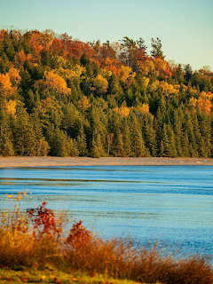 Blue lake with autumn-colored trees on a forested hillside under a clear sky