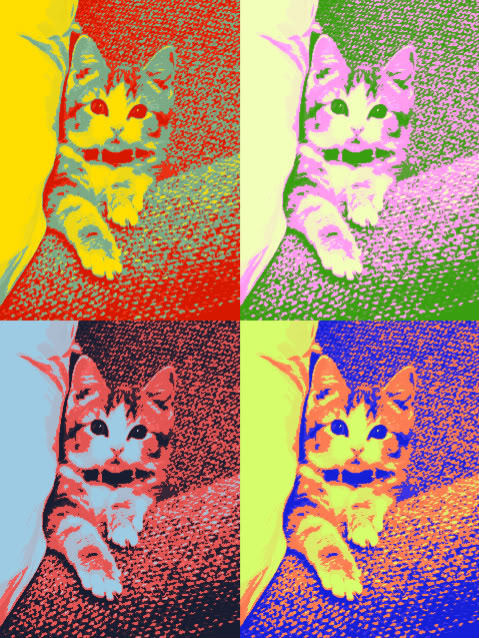 Four panels of the same kitten rendered in different bright color schemes with textured backgrounds in pop art style