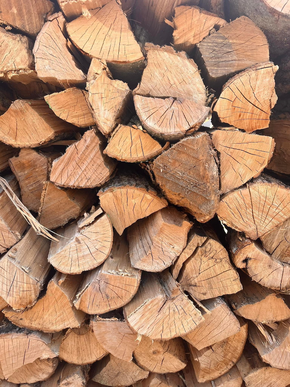 Stacked Firewood Logs
