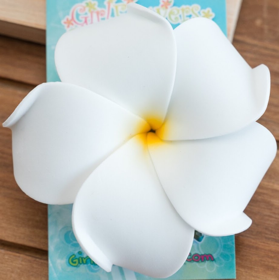 White plumeria flower with a yellow center on a turquoise card and wooden background