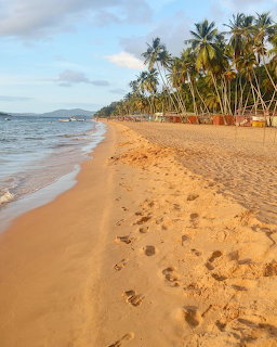 Playa Arapito Venezuela Beach