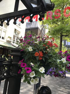Colorful hanging flower basket outside a building on a shaded sidewalk