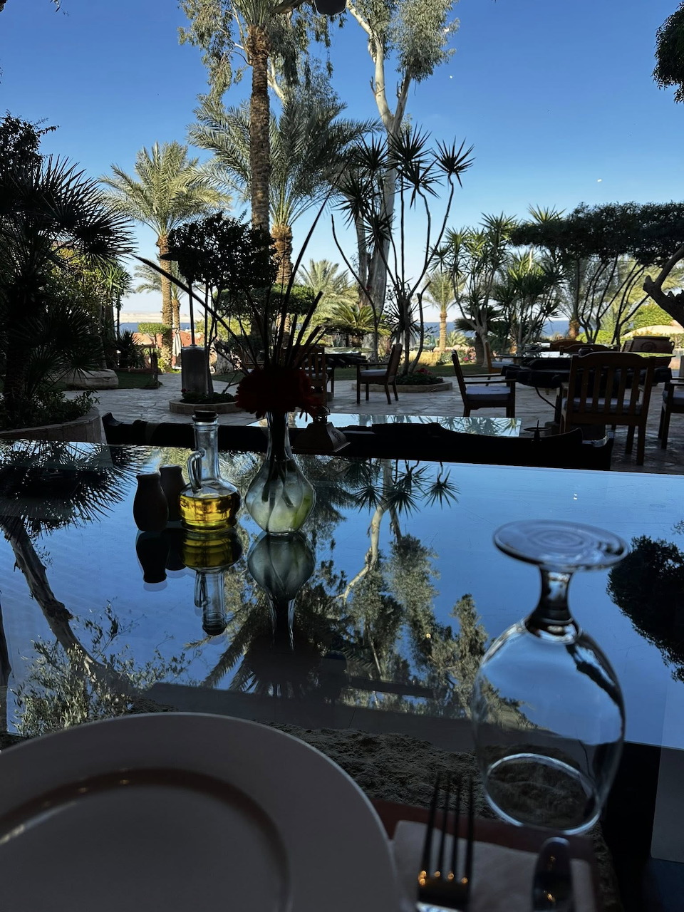 Restaurant table with wine glasses reflecting palm trees and sunny garden beyond