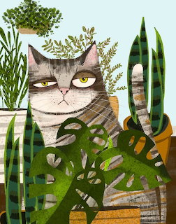 Grumpy Cat Plants