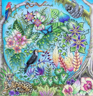 Tropical Rainforest Wildlife Illustration