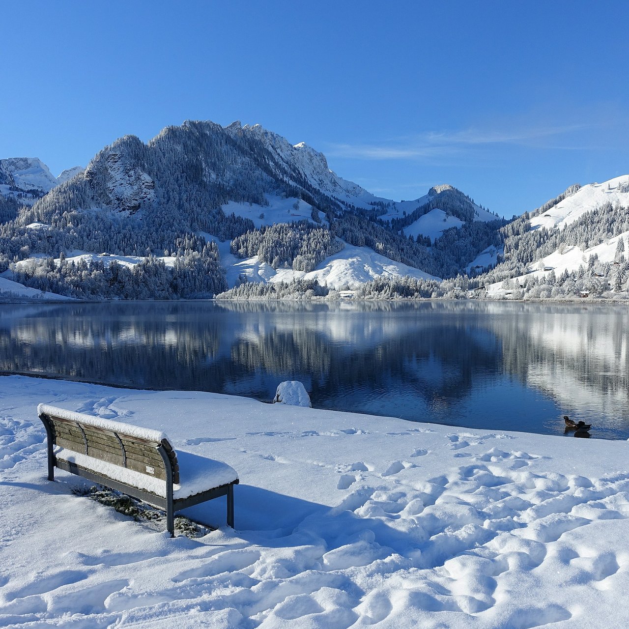 Snowy bench overlooking alpine lake with mountain reflections in winter