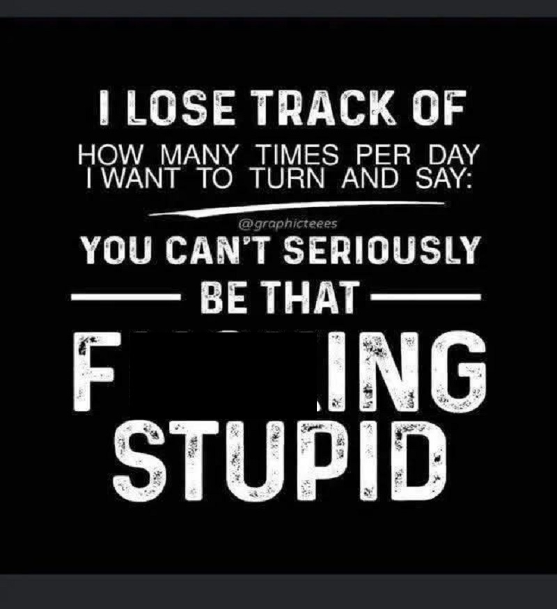 Sarcastic Text Meme Quote