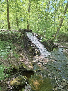 Gräfsnäs Forest Waterfall