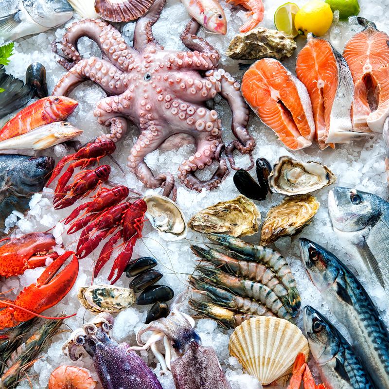 Assorted fresh seafood on ice with octopus, salmon, shrimp, oysters, mussels, lobster, and fish