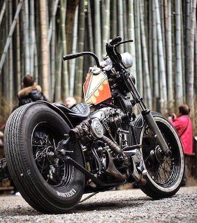 Custom vintage Harley-Davidson chopper with orange tank parked in front of tall bamboo trees