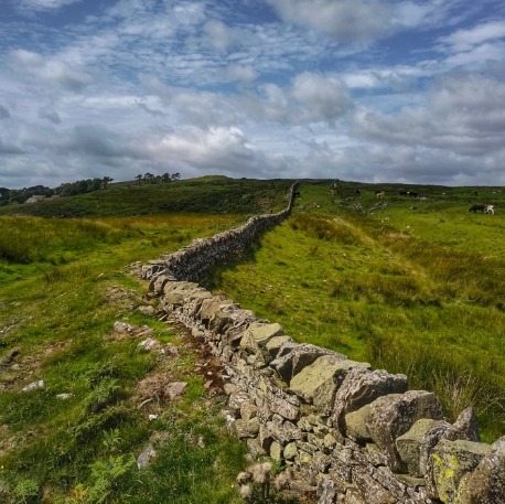 Hadrian's Wall winding through green grassy hills under a partly cloudy sky, Northumberland