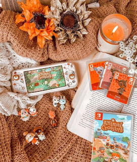 Animal Crossing Cozy Flatlay