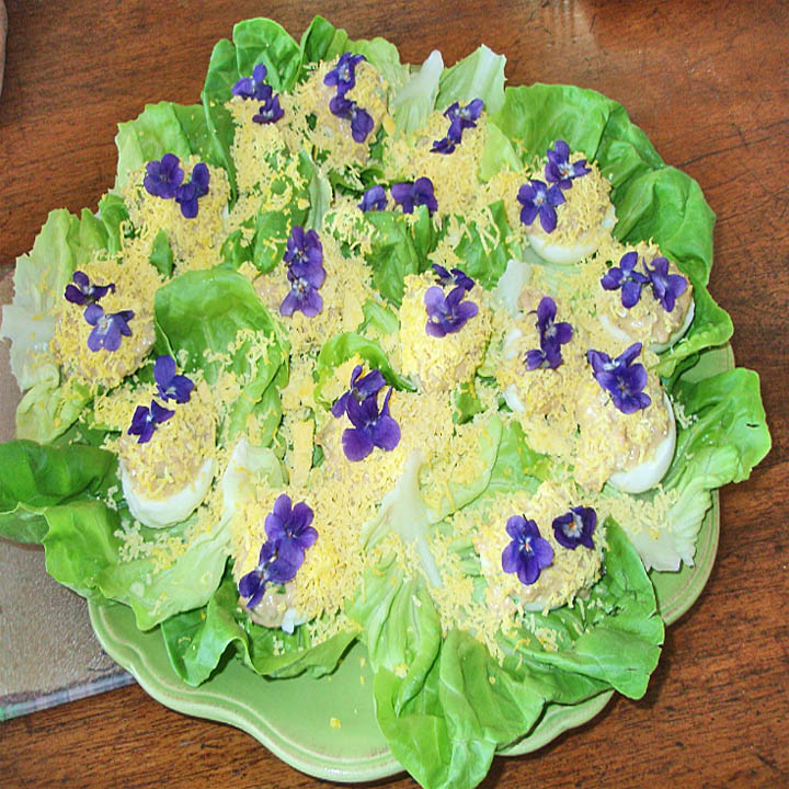 Deviled Eggs with Edible Flowers