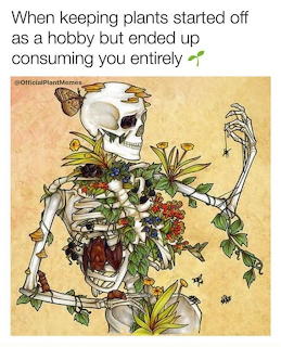 Skeleton Overgrown With Plants