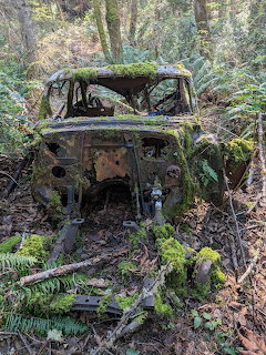 Abandoned moss-covered rusty car wreck in a forest surrounded by ferns and fallen leaves