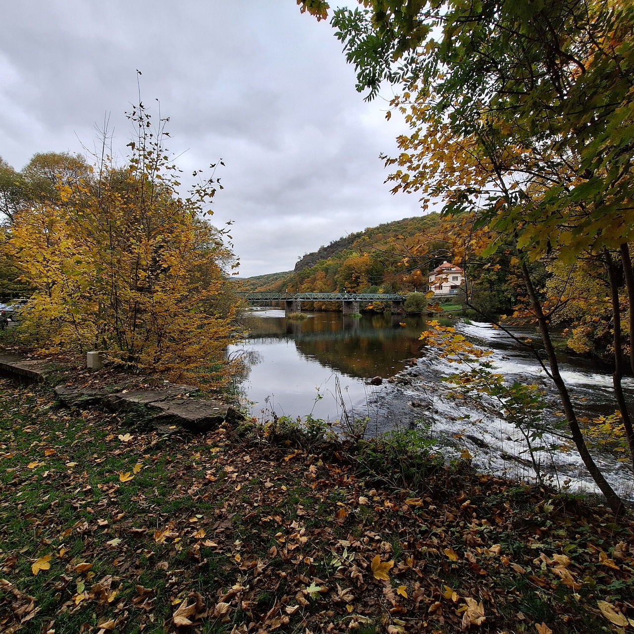 Autumn lakeside scene with trees, fallen leaves, a bridge, and reflections on calm water