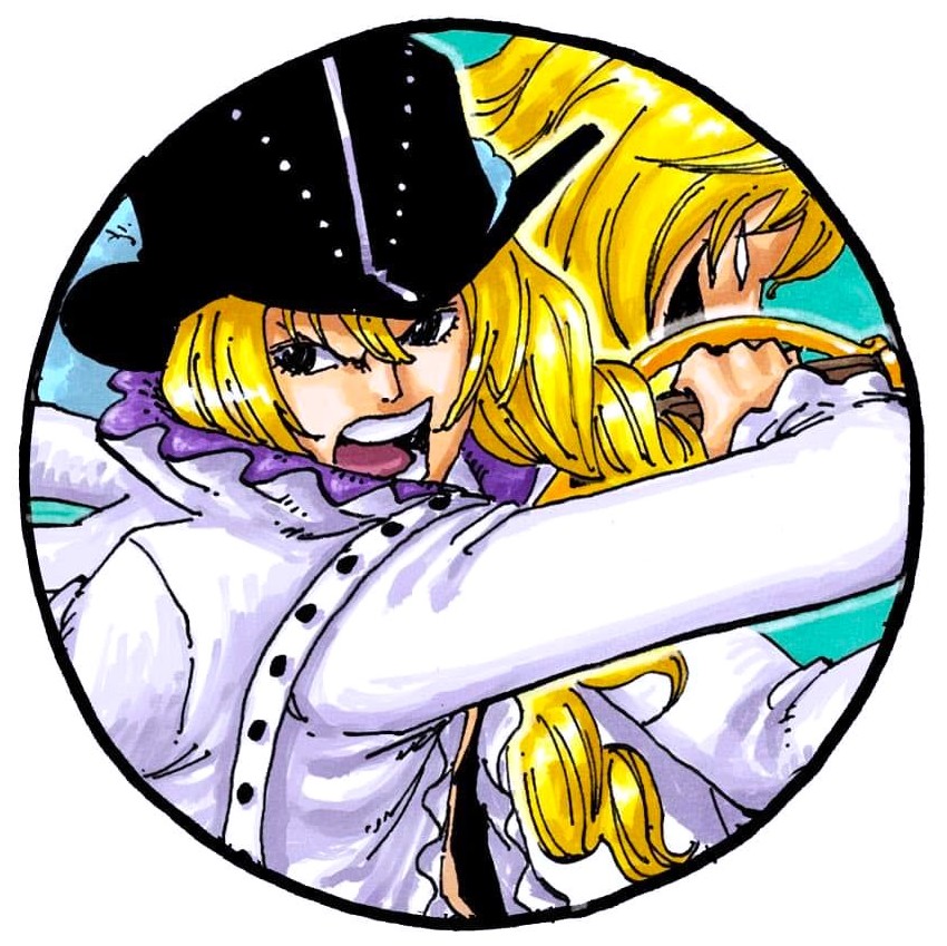 ONE PIECE Anime Characters