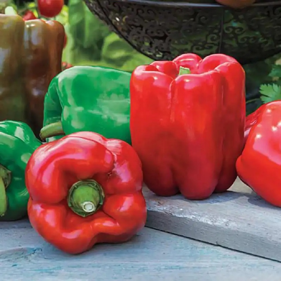 Sweet Peppers