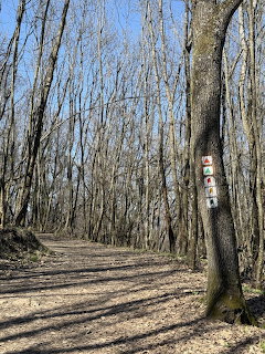 Forest Trail Marker Signs