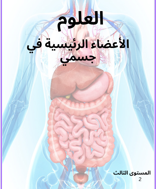Illustrated diagram of major human body organs including digestive system, liver, and intestines with Arabic text