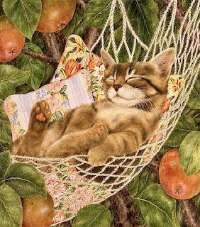 Sleeping kitten in a net hammock surrounded by apples and green leaves