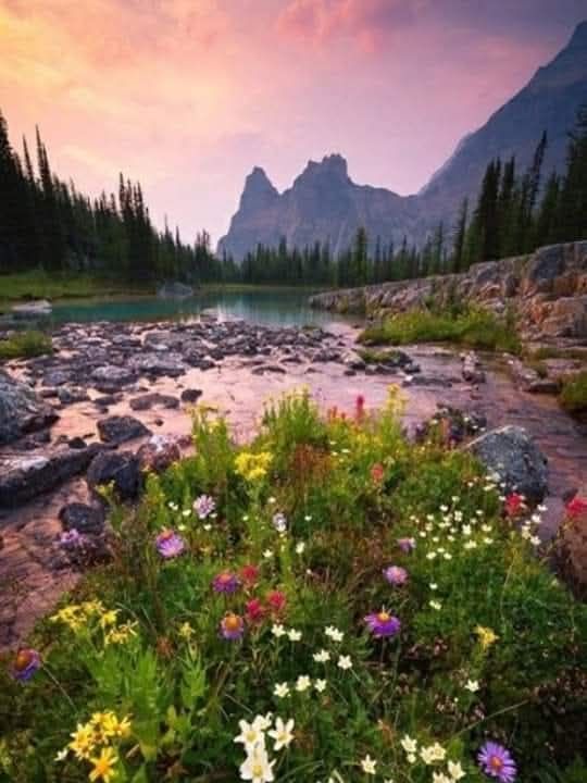 Jigsaw Puzzle Image