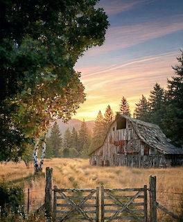 Old wooden barn in a grassy field with a gate and trees at sunrise