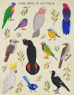 Iconic Birds of Australia