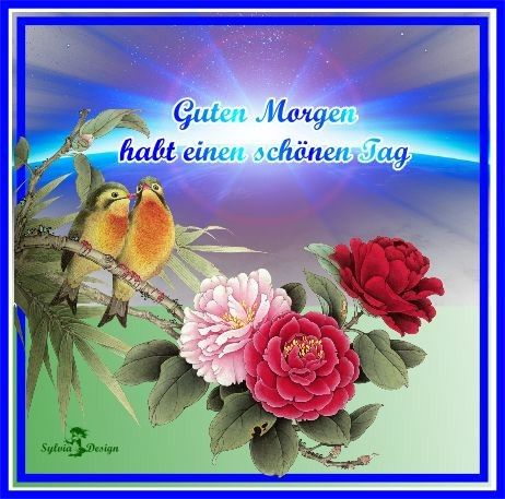 Two yellow birds on a branch with pink and red flowers, German good morning greeting text