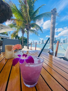 Sunday Brunch Cocktail in Miami