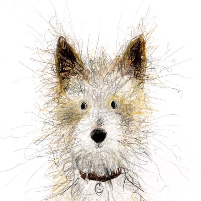 Sketchy illustration of a fluffy dog with pointed ears and collar