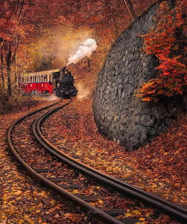 Steam train with red carriages rounding a curve through an autumn forest with colorful fallen leaves