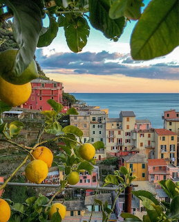 Italian Coastal Village Lemons