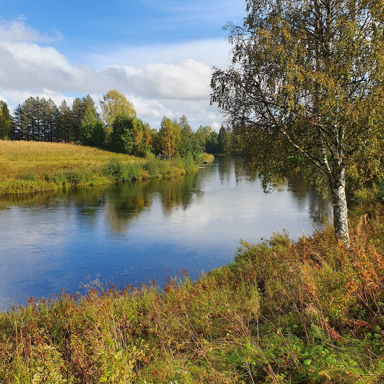 Calm river with autumn trees and grassy banks beneath a blue sky